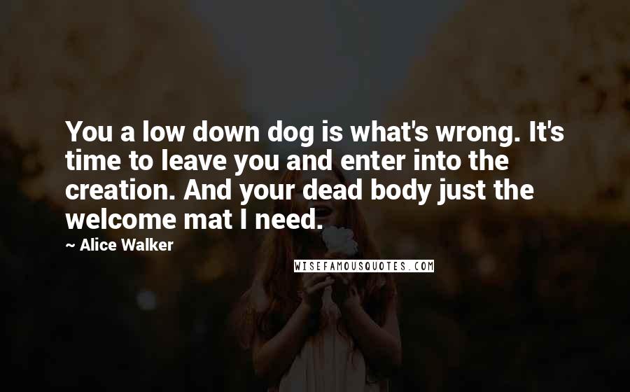 Alice Walker Quotes: You a low down dog is what's wrong. It's time to leave you and enter into the creation. And your dead body just the welcome mat I need.