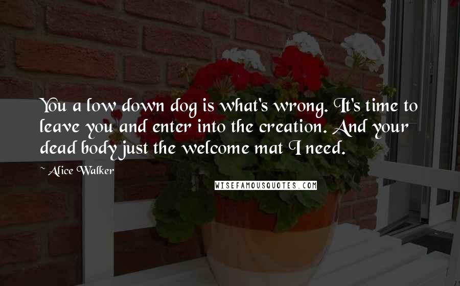 Alice Walker Quotes: You a low down dog is what's wrong. It's time to leave you and enter into the creation. And your dead body just the welcome mat I need.