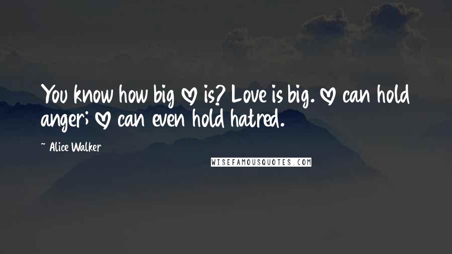 Alice Walker Quotes: You know how big love is? Love is big. love can hold anger; love can even hold hatred.