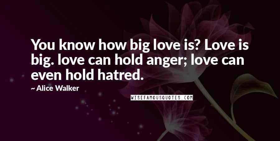 Alice Walker Quotes: You know how big love is? Love is big. love can hold anger; love can even hold hatred.