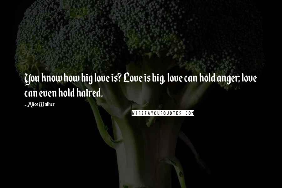 Alice Walker Quotes: You know how big love is? Love is big. love can hold anger; love can even hold hatred.