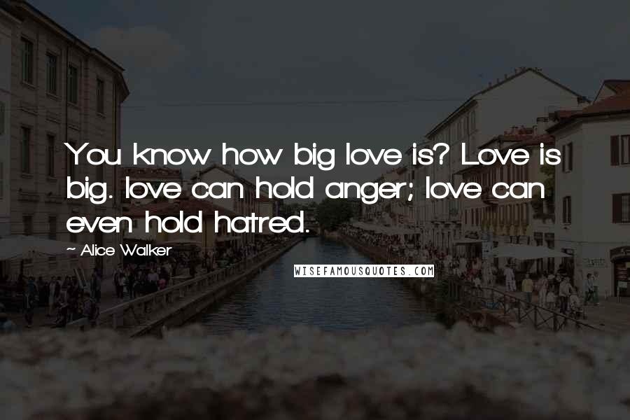 Alice Walker Quotes: You know how big love is? Love is big. love can hold anger; love can even hold hatred.