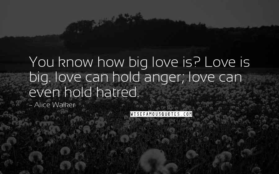 Alice Walker Quotes: You know how big love is? Love is big. love can hold anger; love can even hold hatred.