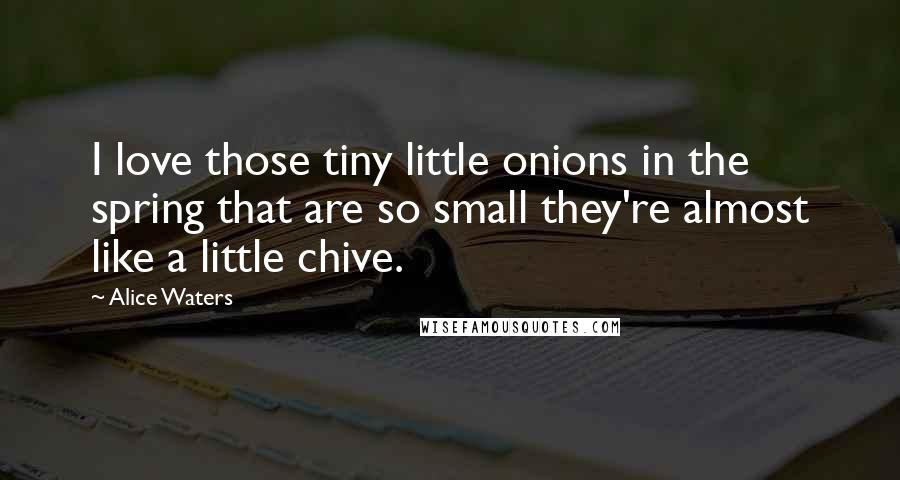 Alice Waters Quotes: I love those tiny little onions in the spring that are so small they're almost like a little chive.