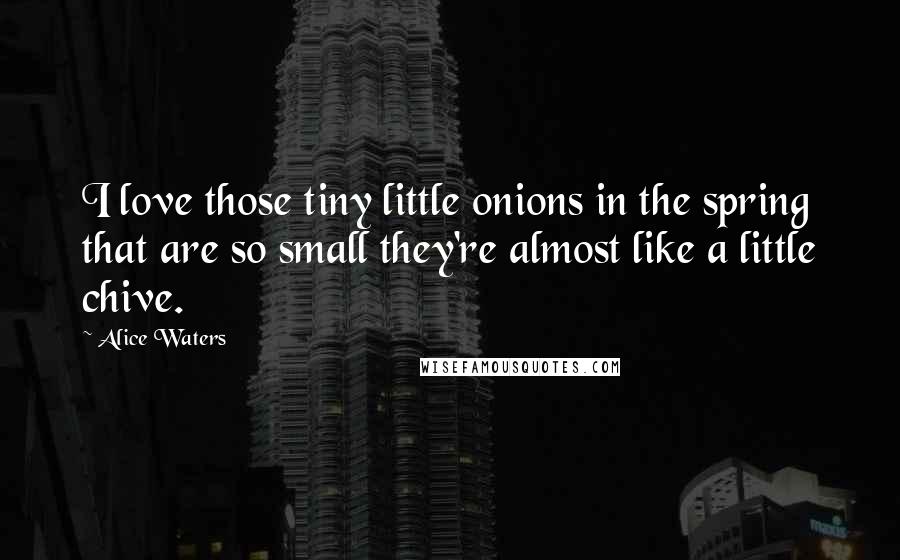 Alice Waters Quotes: I love those tiny little onions in the spring that are so small they're almost like a little chive.