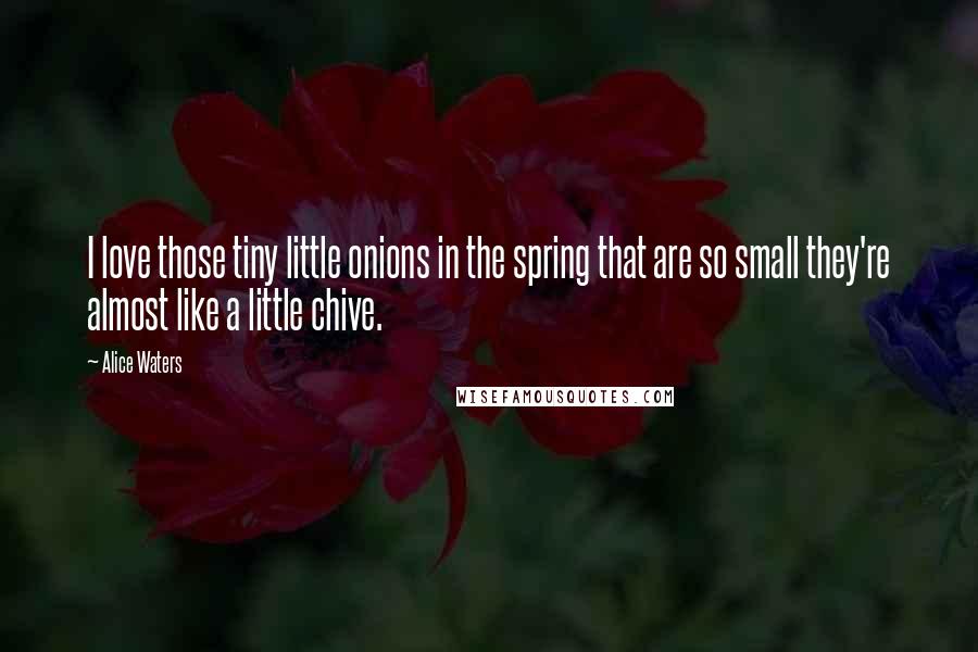 Alice Waters Quotes: I love those tiny little onions in the spring that are so small they're almost like a little chive.