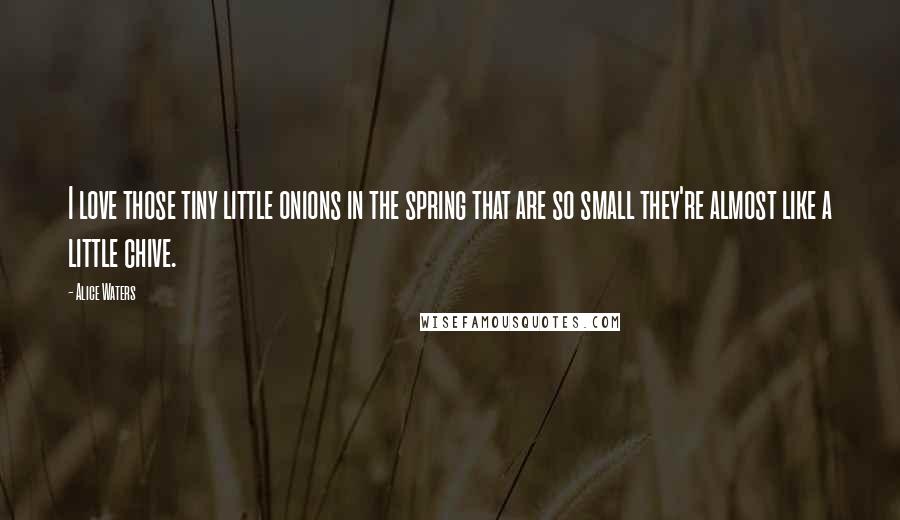 Alice Waters Quotes: I love those tiny little onions in the spring that are so small they're almost like a little chive.