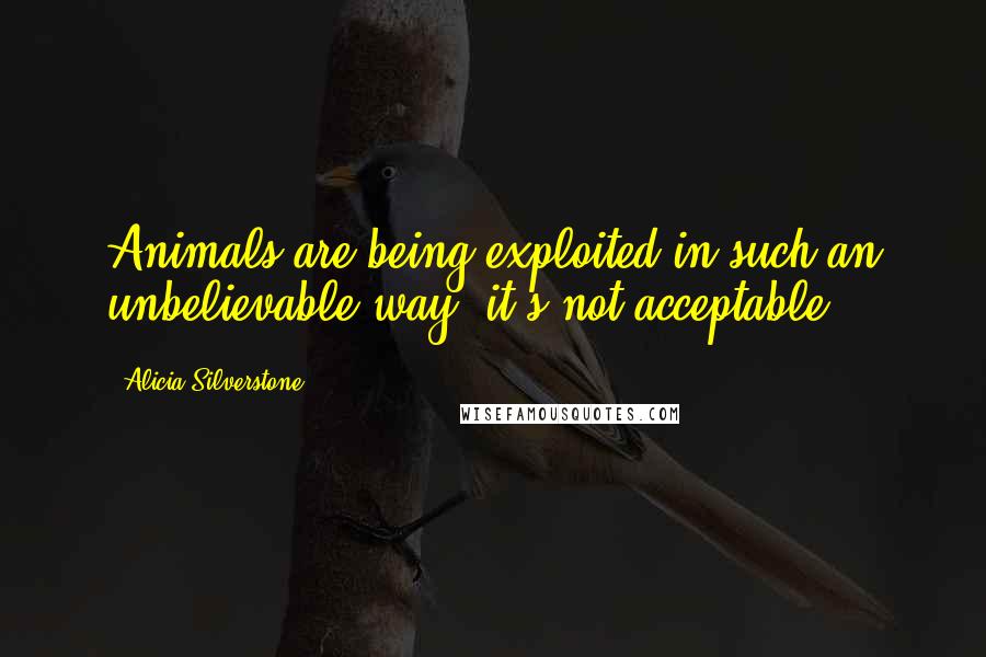Alicia Silverstone Quotes: Animals are being exploited in such an unbelievable way; it's not acceptable.