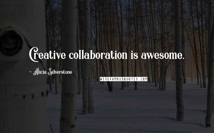 Alicia Silverstone Quotes: Creative collaboration is awesome.