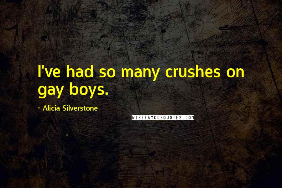 Alicia Silverstone Quotes: I've had so many crushes on gay boys.