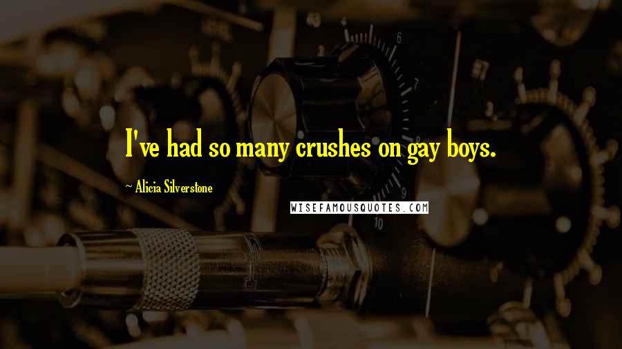 Alicia Silverstone Quotes: I've had so many crushes on gay boys.