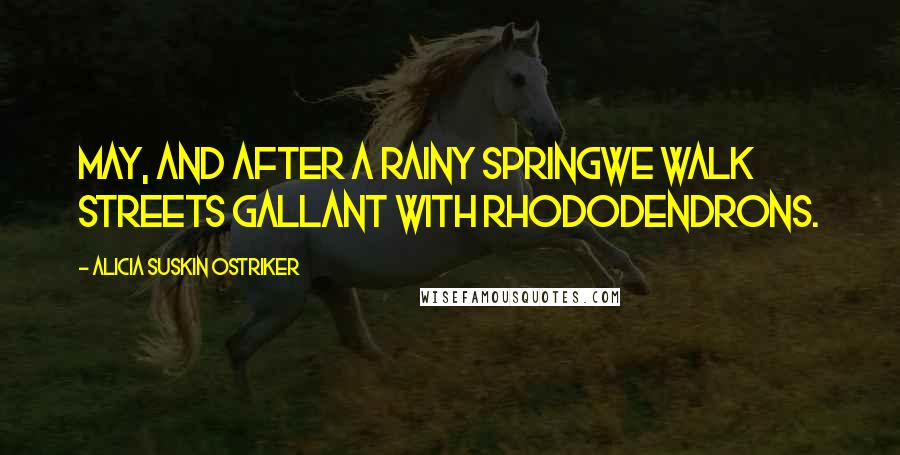 Alicia Suskin Ostriker Quotes: May, and after a rainy springWe walk streets gallant with rhododendrons.