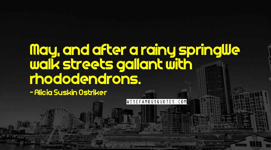 Alicia Suskin Ostriker Quotes: May, and after a rainy springWe walk streets gallant with rhododendrons.