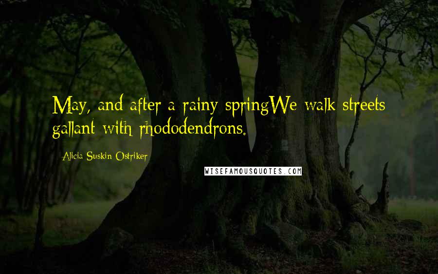 Alicia Suskin Ostriker Quotes: May, and after a rainy springWe walk streets gallant with rhododendrons.