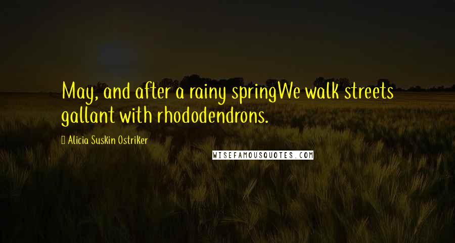 Alicia Suskin Ostriker Quotes: May, and after a rainy springWe walk streets gallant with rhododendrons.