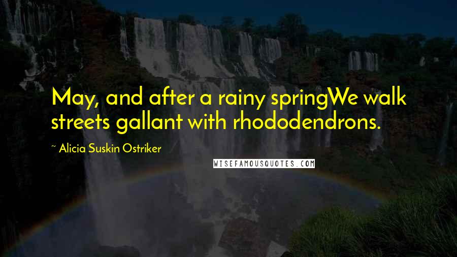 Alicia Suskin Ostriker Quotes: May, and after a rainy springWe walk streets gallant with rhododendrons.