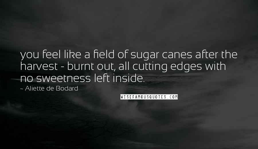 Aliette De Bodard Quotes: you feel like a field of sugar canes after the harvest - burnt out, all cutting edges with no sweetness left inside.