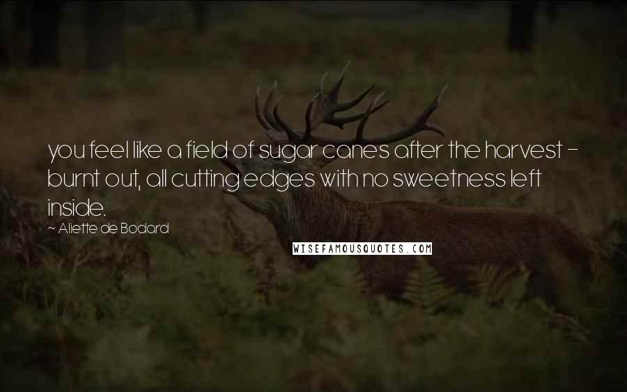 Aliette De Bodard Quotes: you feel like a field of sugar canes after the harvest - burnt out, all cutting edges with no sweetness left inside.