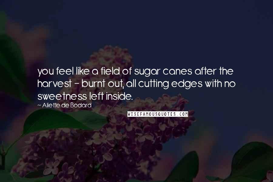 Aliette De Bodard Quotes: you feel like a field of sugar canes after the harvest - burnt out, all cutting edges with no sweetness left inside.