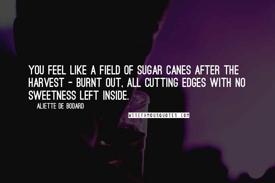 Aliette De Bodard Quotes: you feel like a field of sugar canes after the harvest - burnt out, all cutting edges with no sweetness left inside.