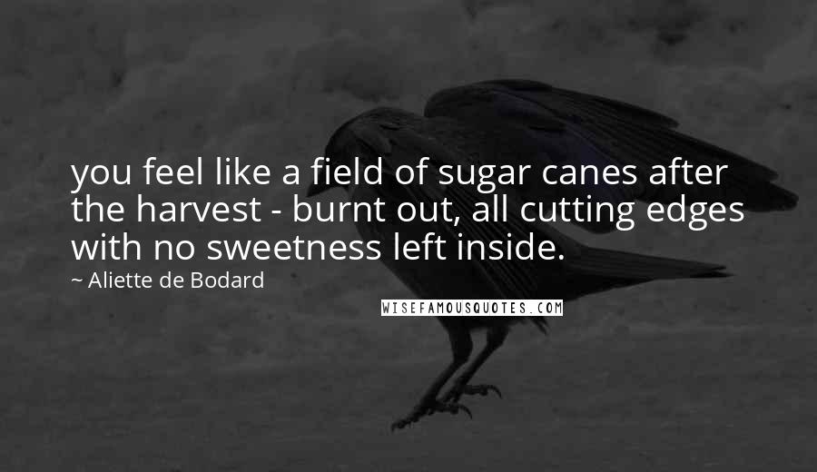 Aliette De Bodard Quotes: you feel like a field of sugar canes after the harvest - burnt out, all cutting edges with no sweetness left inside.