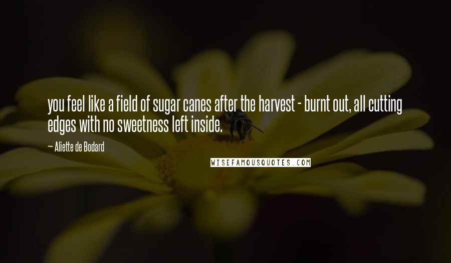 Aliette De Bodard Quotes: you feel like a field of sugar canes after the harvest - burnt out, all cutting edges with no sweetness left inside.