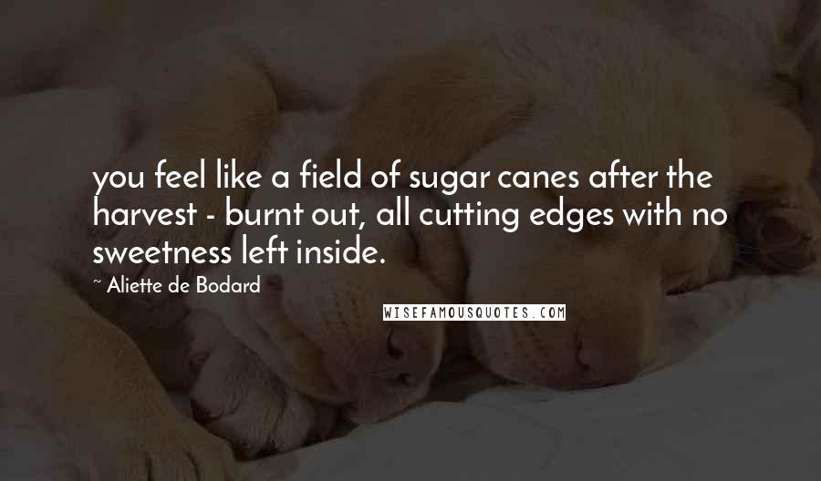 Aliette De Bodard Quotes: you feel like a field of sugar canes after the harvest - burnt out, all cutting edges with no sweetness left inside.