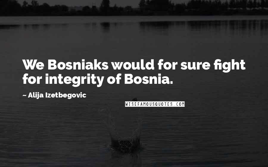 Alija Izetbegovic Quotes: We Bosniaks would for sure fight for integrity of Bosnia.