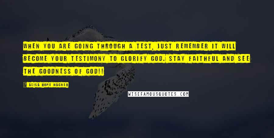 Alisa Hope Wagner Quotes: When you are going through a test, just remember it WILL become your testimony to glorify God. Stay faithful and see the goodness of God!!