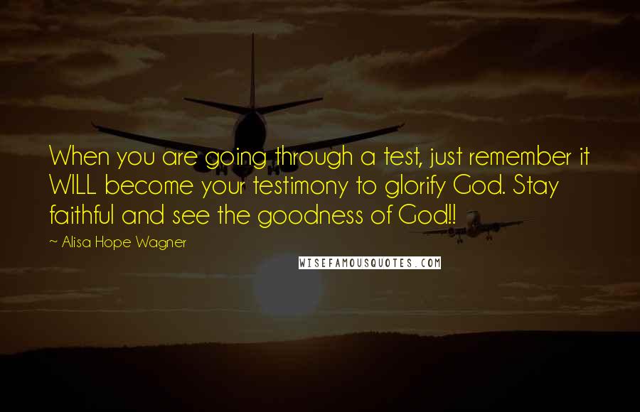 Alisa Hope Wagner Quotes: When you are going through a test, just remember it WILL become your testimony to glorify God. Stay faithful and see the goodness of God!!