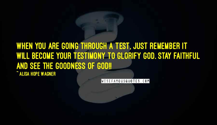 Alisa Hope Wagner Quotes: When you are going through a test, just remember it WILL become your testimony to glorify God. Stay faithful and see the goodness of God!!