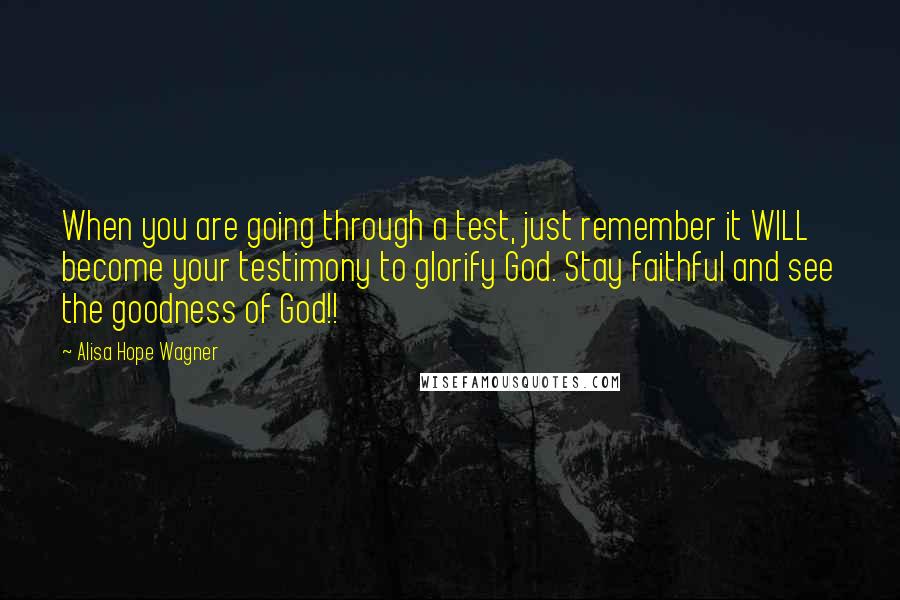 Alisa Hope Wagner Quotes: When you are going through a test, just remember it WILL become your testimony to glorify God. Stay faithful and see the goodness of God!!