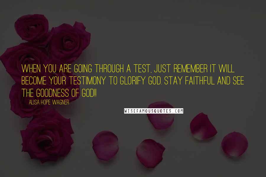 Alisa Hope Wagner Quotes: When you are going through a test, just remember it WILL become your testimony to glorify God. Stay faithful and see the goodness of God!!