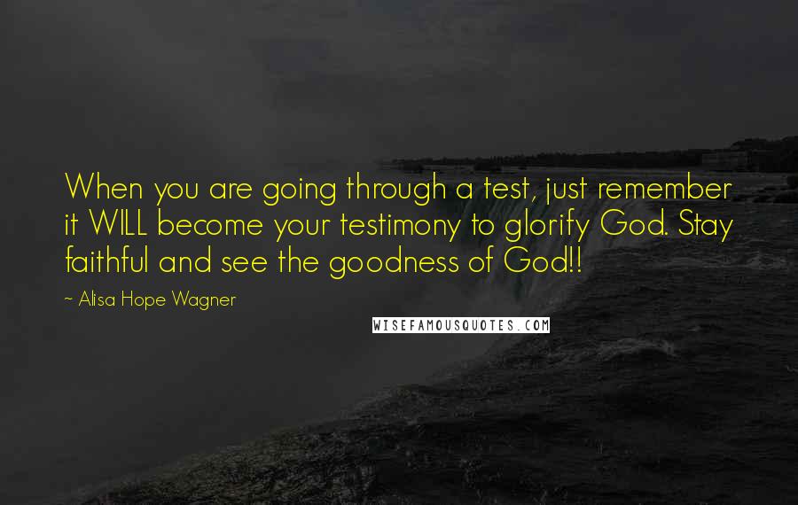 Alisa Hope Wagner Quotes: When you are going through a test, just remember it WILL become your testimony to glorify God. Stay faithful and see the goodness of God!!