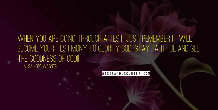 Alisa Hope Wagner Quotes: When you are going through a test, just remember it WILL become your testimony to glorify God. Stay faithful and see the goodness of God!!