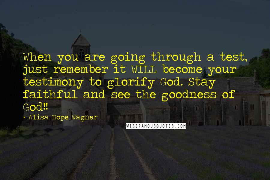 Alisa Hope Wagner Quotes: When you are going through a test, just remember it WILL become your testimony to glorify God. Stay faithful and see the goodness of God!!