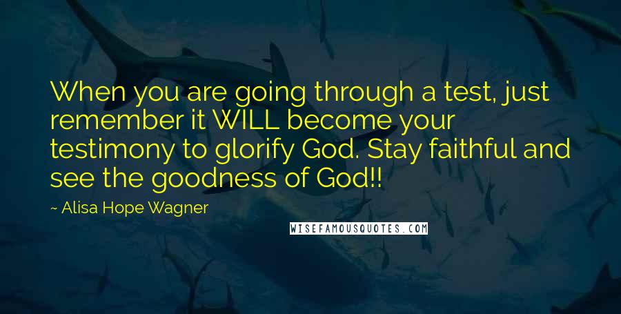 Alisa Hope Wagner Quotes: When you are going through a test, just remember it WILL become your testimony to glorify God. Stay faithful and see the goodness of God!!