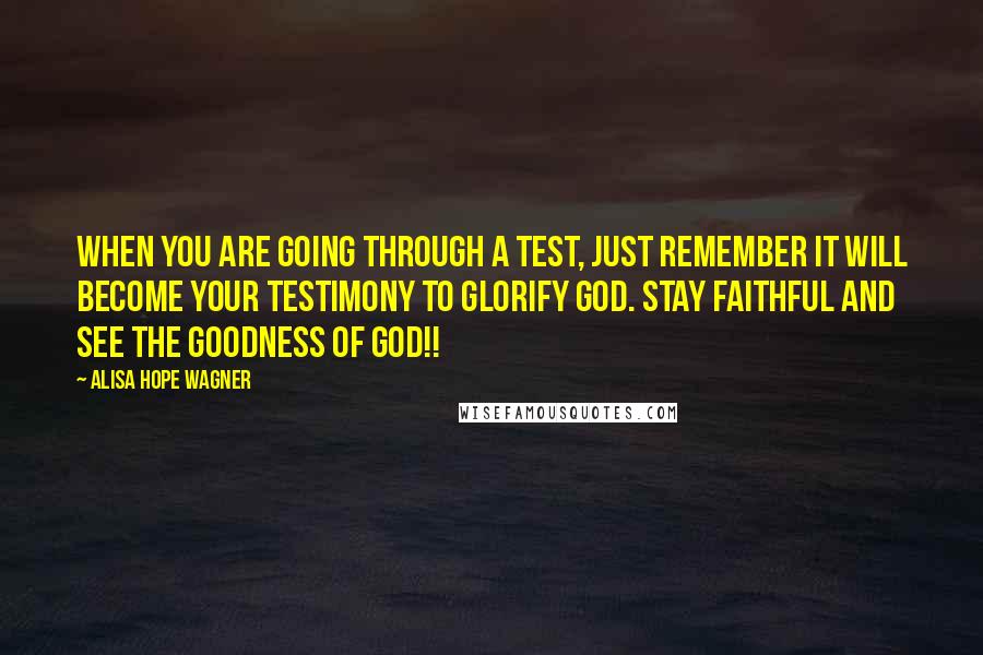 Alisa Hope Wagner Quotes: When you are going through a test, just remember it WILL become your testimony to glorify God. Stay faithful and see the goodness of God!!