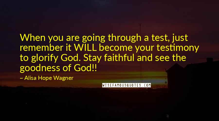 Alisa Hope Wagner Quotes: When you are going through a test, just remember it WILL become your testimony to glorify God. Stay faithful and see the goodness of God!!