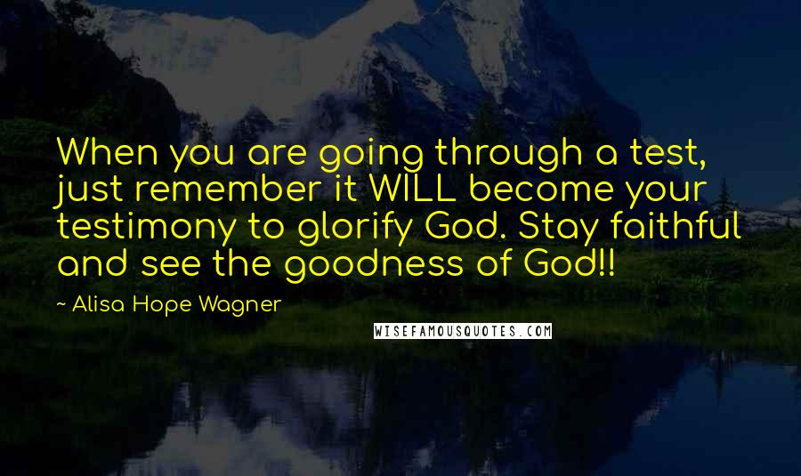 Alisa Hope Wagner Quotes: When you are going through a test, just remember it WILL become your testimony to glorify God. Stay faithful and see the goodness of God!!