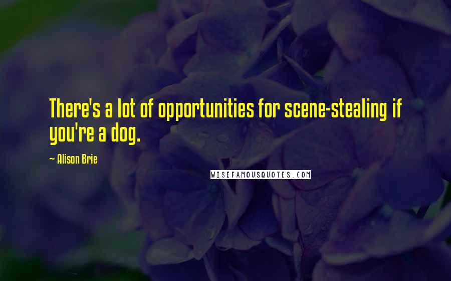 Alison Brie Quotes: There's a lot of opportunities for scene-stealing if you're a dog.