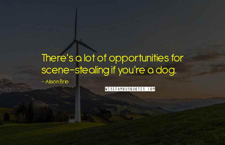 Alison Brie Quotes: There's a lot of opportunities for scene-stealing if you're a dog.
