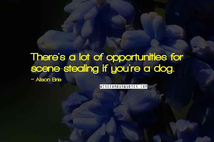 Alison Brie Quotes: There's a lot of opportunities for scene-stealing if you're a dog.