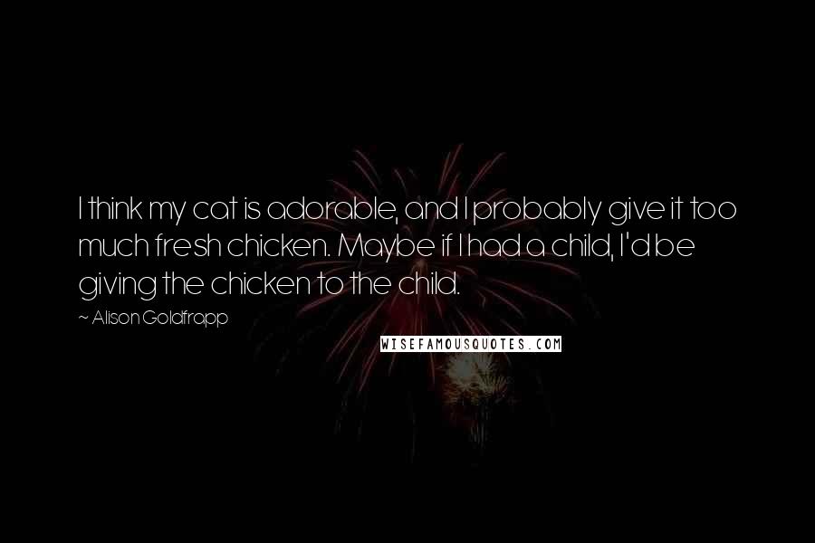 Alison Goldfrapp Quotes: I think my cat is adorable, and I probably give it too much fresh chicken. Maybe if I had a child, I'd be giving the chicken to the child.