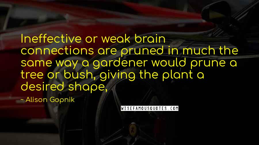 Alison Gopnik Quotes: Ineffective or weak brain connections are pruned in much the same way a gardener would prune a tree or bush, giving the plant a desired shape,
