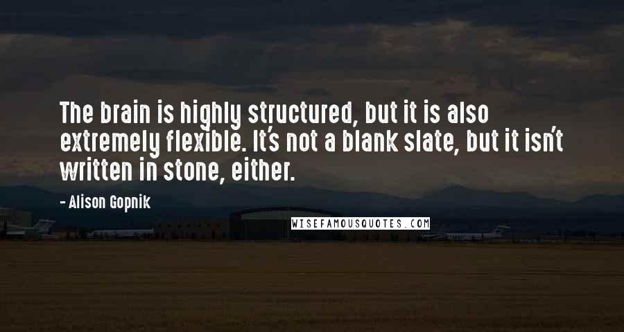 Alison Gopnik Quotes: The brain is highly structured, but it is also extremely flexible. It's not a blank slate, but it isn't written in stone, either.