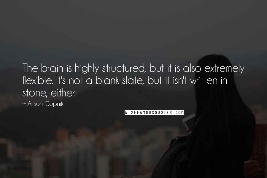 Alison Gopnik Quotes: The brain is highly structured, but it is also extremely flexible. It's not a blank slate, but it isn't written in stone, either.