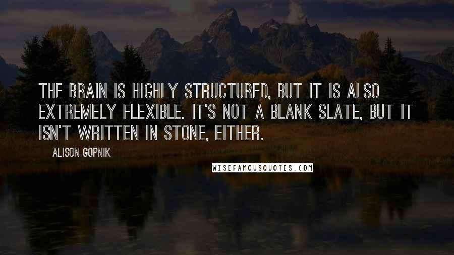 Alison Gopnik Quotes: The brain is highly structured, but it is also extremely flexible. It's not a blank slate, but it isn't written in stone, either.