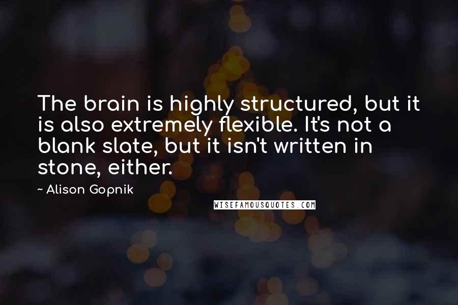 Alison Gopnik Quotes: The brain is highly structured, but it is also extremely flexible. It's not a blank slate, but it isn't written in stone, either.