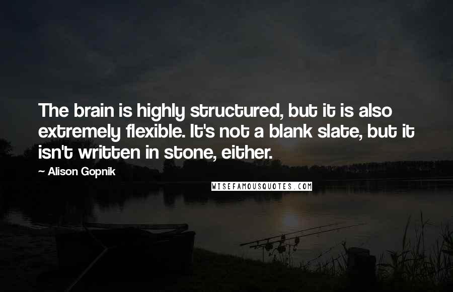 Alison Gopnik Quotes: The brain is highly structured, but it is also extremely flexible. It's not a blank slate, but it isn't written in stone, either.